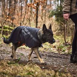 Regnjakke til hunden