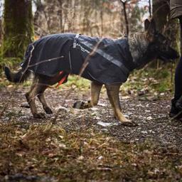 Regnjakke til hunden