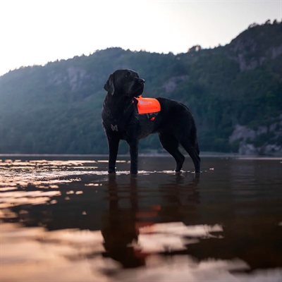 Nonstop Dogwear vest