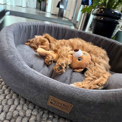 Hundeseng fra Nordic Paws