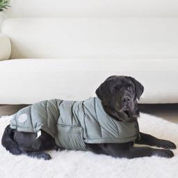 Nordic Paws Puf Hundejakke Design Albert Grøn