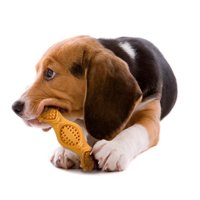 Nylabone Extreme Chew Fill It Tyggelegetøj Med Peanutbutter Smag