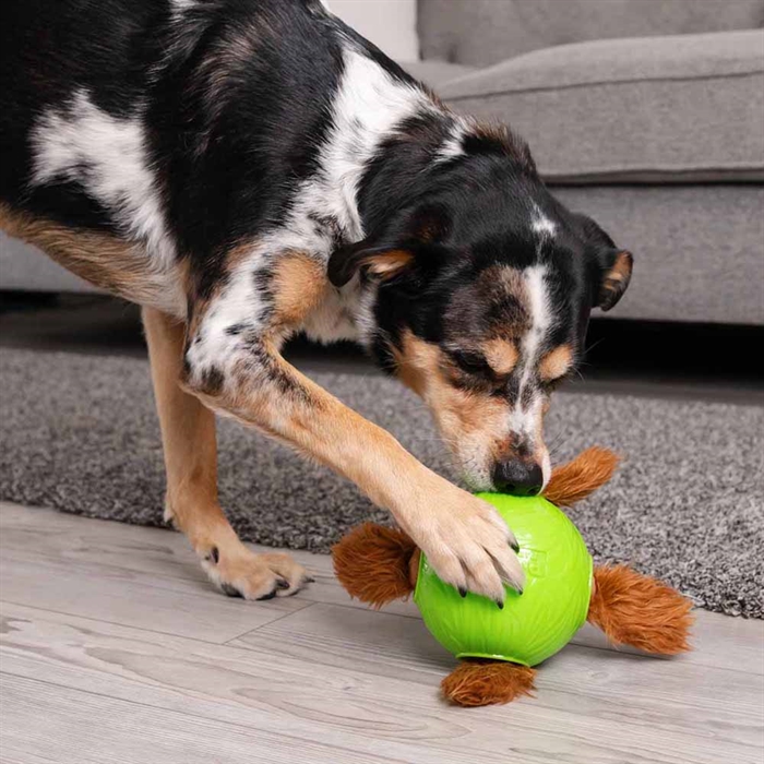 Outward Hound Snuffle N\' Treat Ball Level 2 Aktivitetslegetøj med 4 Egern
