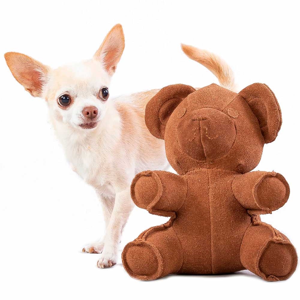 Teddy Toy Bamse Til Hunden