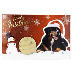 TreatEaters Mini Treats Julekalender Til Hunden med Bernersenne