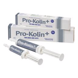 Pro Kolin+ Paste Pro og Prebiotika til Hunde og Kattemaven 30ml