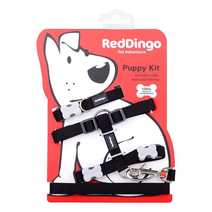 Red Dingo Hvalpesæt med Halsbånd, Sele og Snor SORT