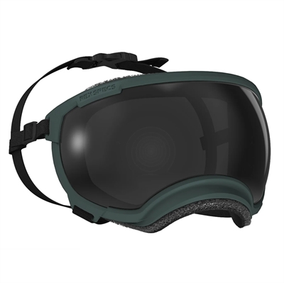 Hundebrille REX Specs V2 Sol & Sikkerhedsbrille LARGE Forest Green