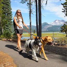 Gå med to hunde line fra Ruffwear