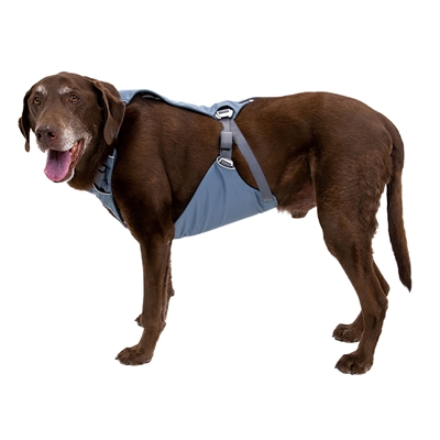 Holdbar hundesele