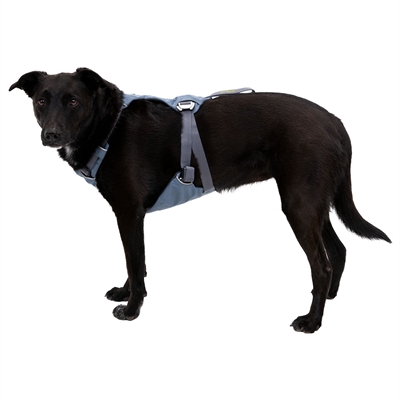  Hundesele til bilen
