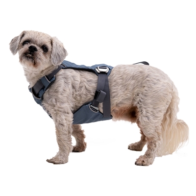 Sikkerhedssele til hund