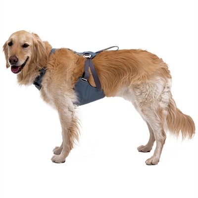 Bilsele til hund