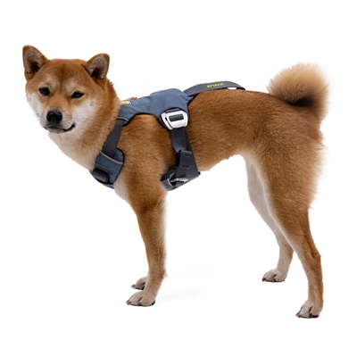 Sikker hundesele til bil