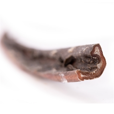 Snack It Naturlig Snack Kamel 75cm Indpakket