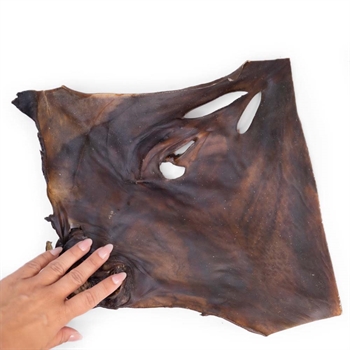 Snack It Kamelhuds Plade Tyggesnack Til Hunden 30x30 cm