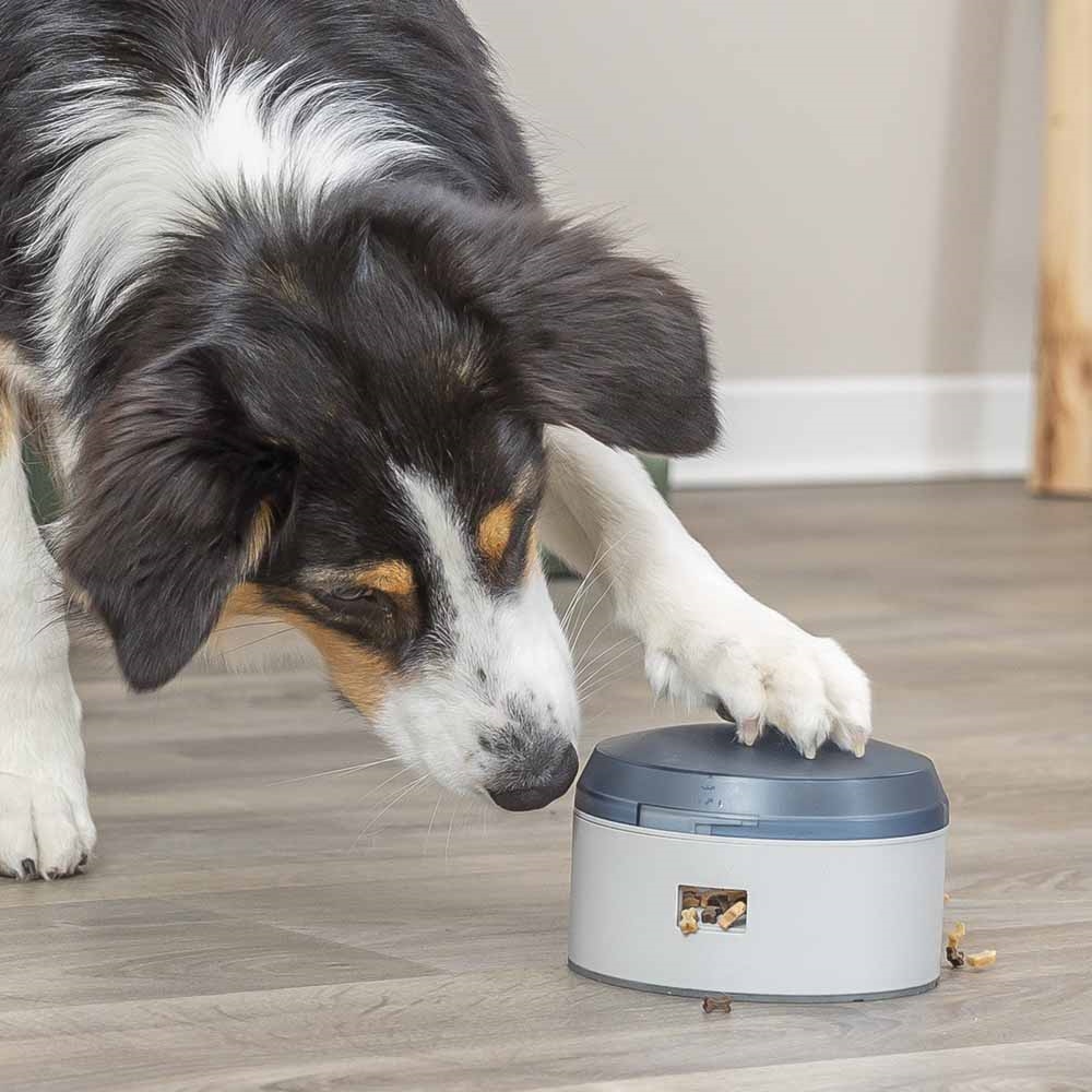 Trixie Aktivitetslegetøj Til Hunden Activity Buzzer