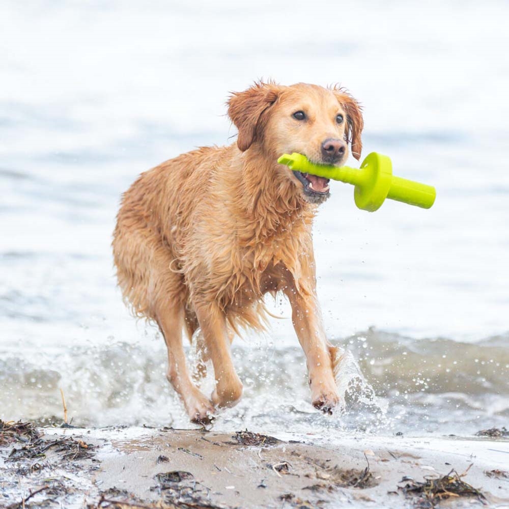 DogActivity MotAqua Hundetræning i Vand Lime