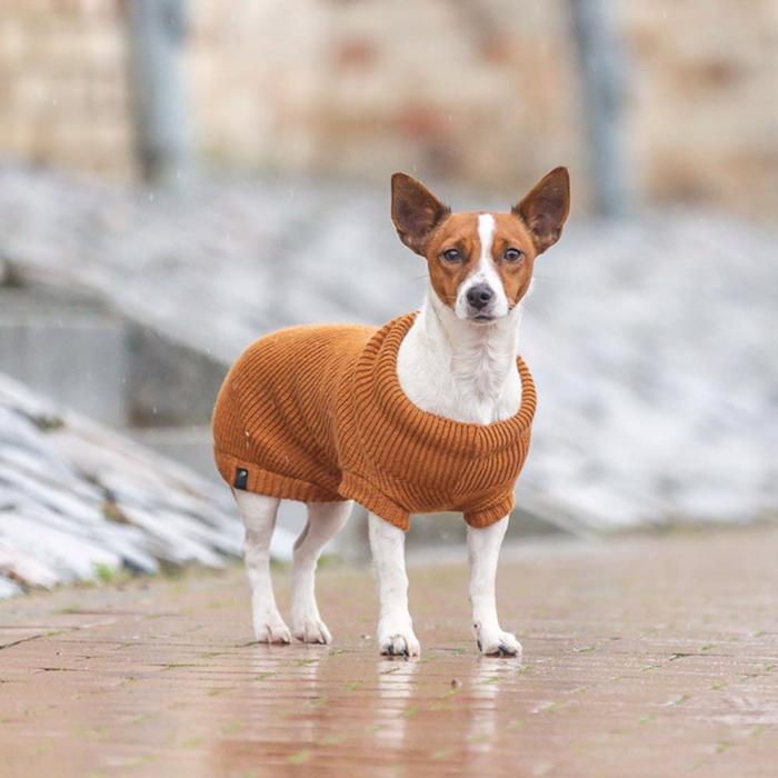 Trixie Citystyle Berlin Striktrøje Til Hunden i Farven Rust