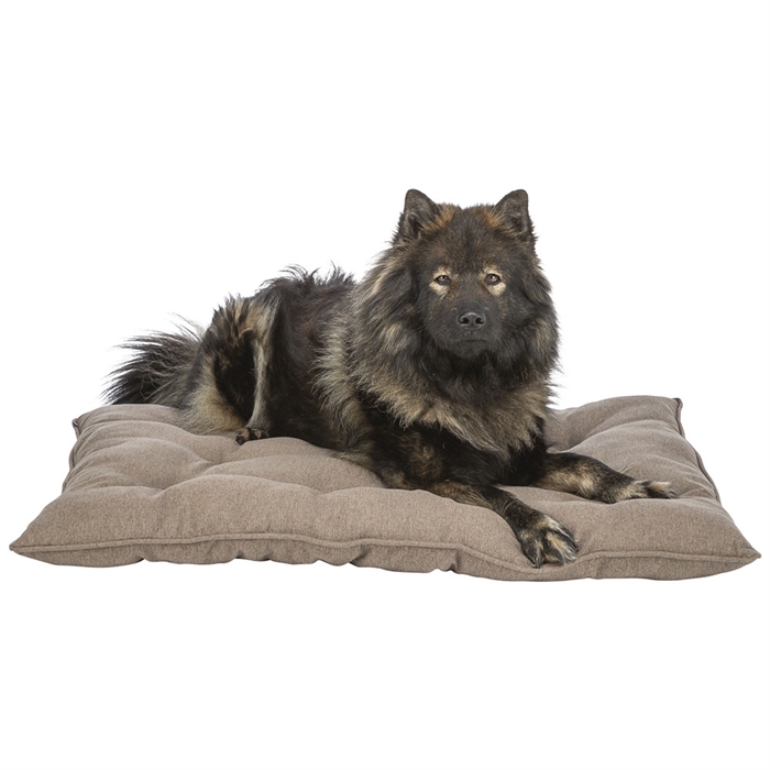 Trixie Hundepude Design Caliente Brun