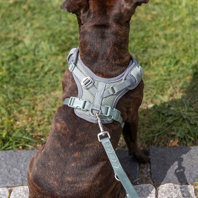 Hundesele til brede hunde