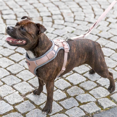 Hundesele til kompakte hunde