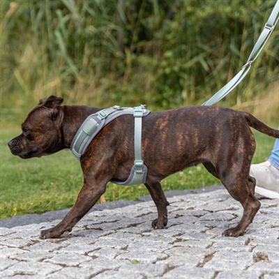 Komfortabel hundesele