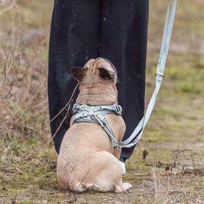 Sele med velcrolukning
