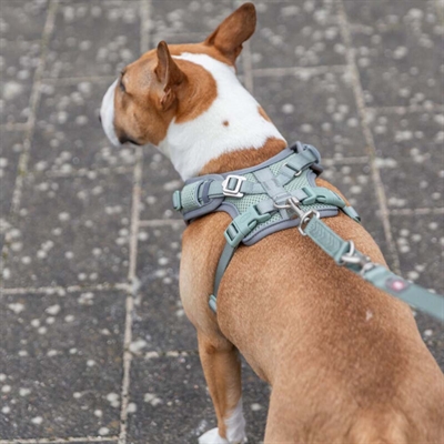 Hundesele med bred pasform