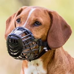 Trixie Mundkurv til Hunde i Plastik med Justerbar nakkerem