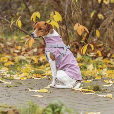 Hunderegnjakke fra Trixie