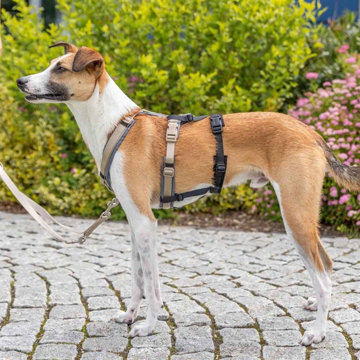 Trixie Stay Adaptor Til Hundeselen