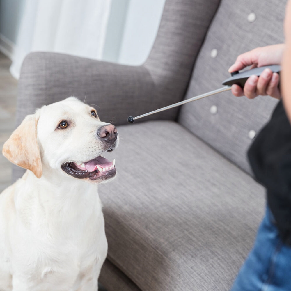 meddelelse Høring andrageren Trixie Target Stick & Klikker Til Hunden i GRÅ