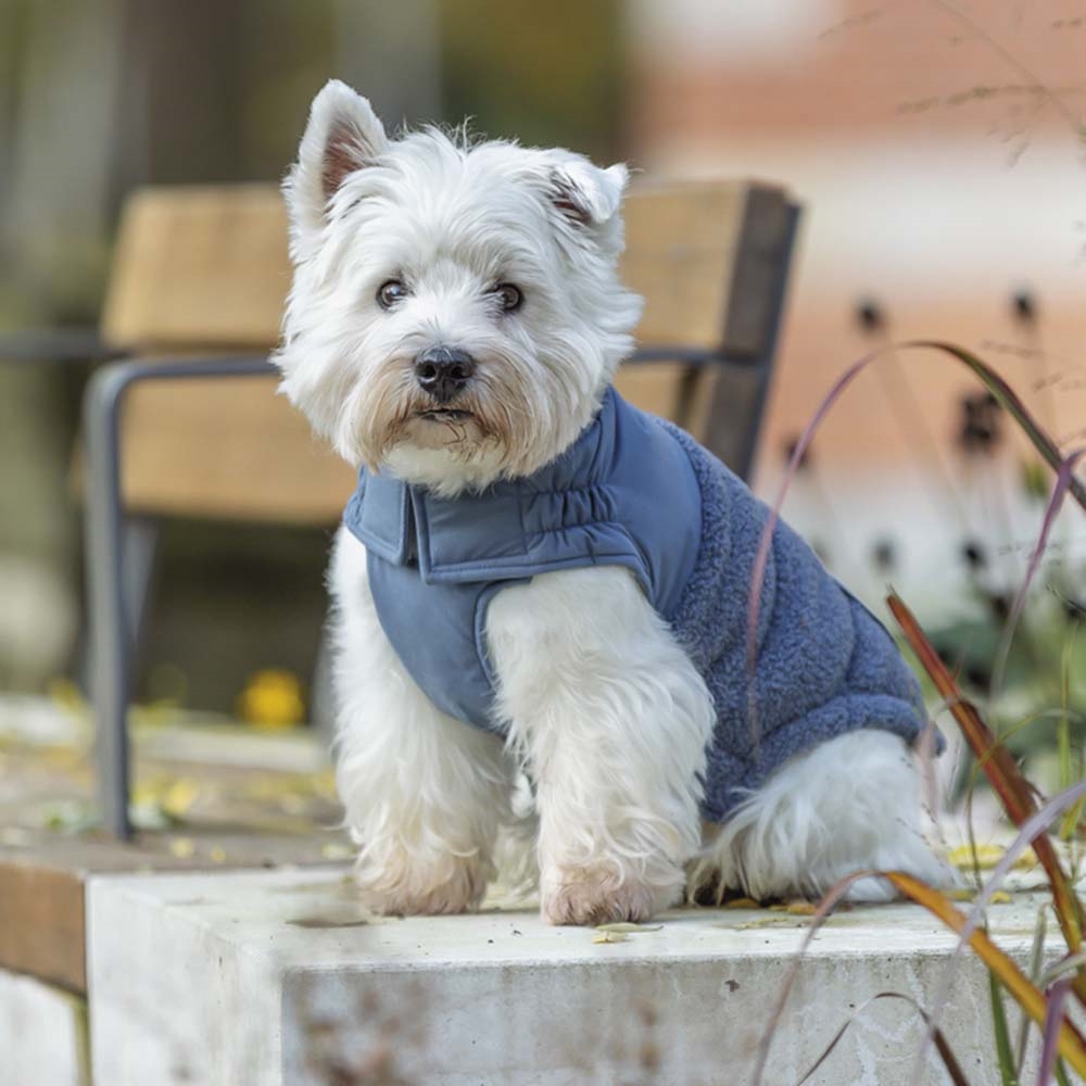 Trixie Vinterjakke Til Små og Mellem Hunde Design Ajou Blå