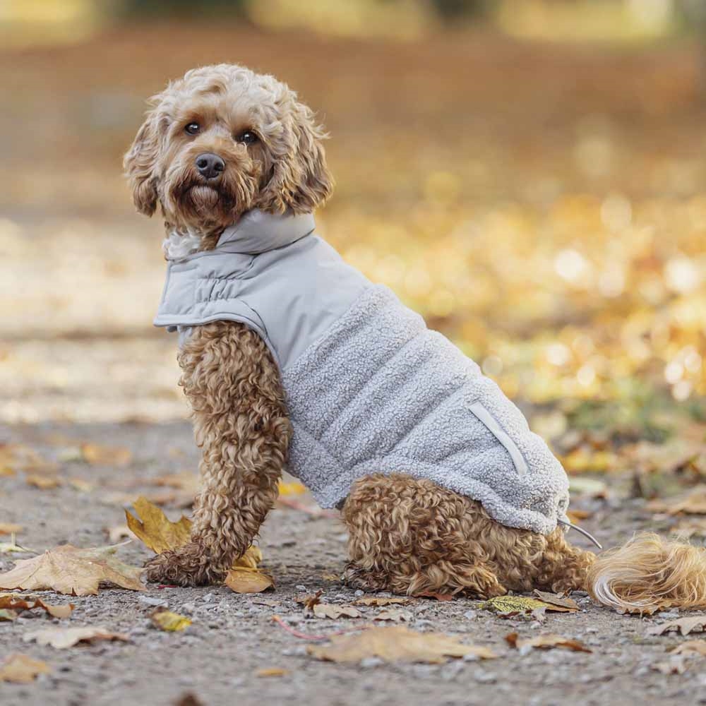 Trixie Vinterjakke Til Små og Mellem Hunde Design Ajou Grå Beige