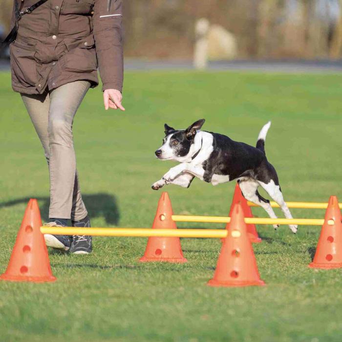 Trixie Activity Forhindringer Til Træning & Agility MEDIUM