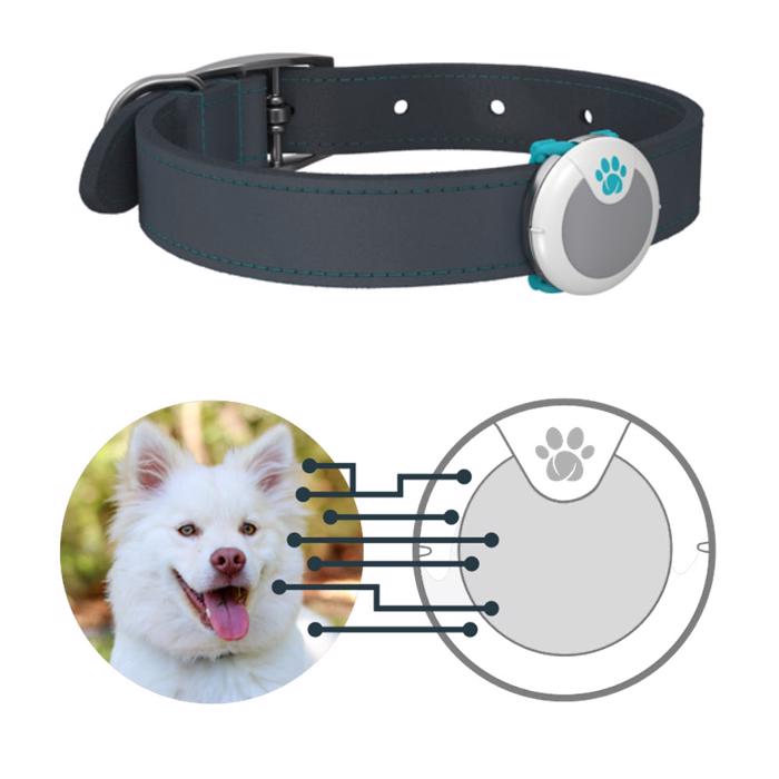 Sureflap Dog Animo Behavioral Monitor Aktivitetsmåler Til Hunden