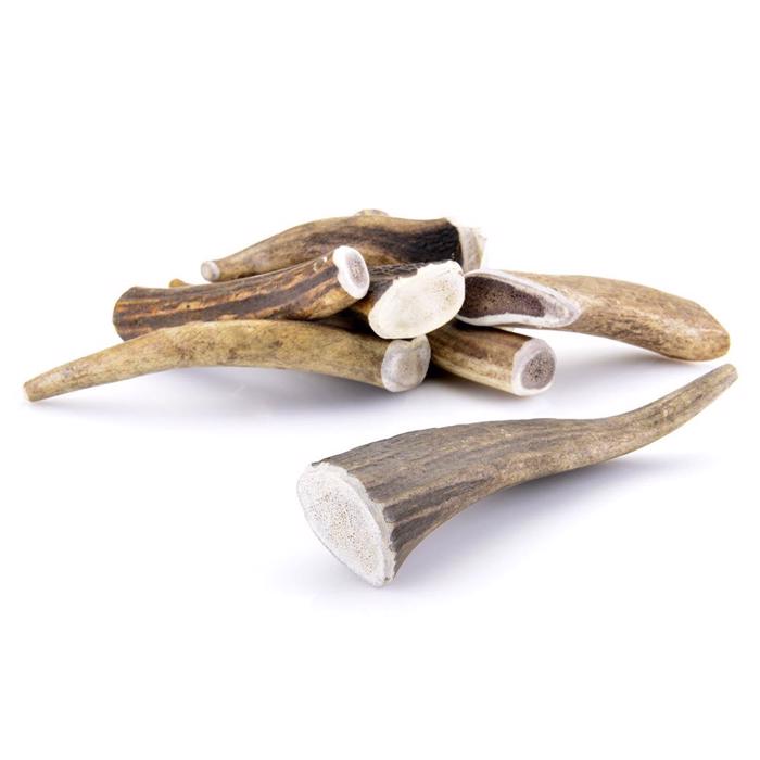 The Wild Antler 100% Naturlige Hjorte Gevir Small Til Tyggelyst og Tandrens