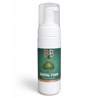 B&B Plaque Patrol Dental Foam 100ml