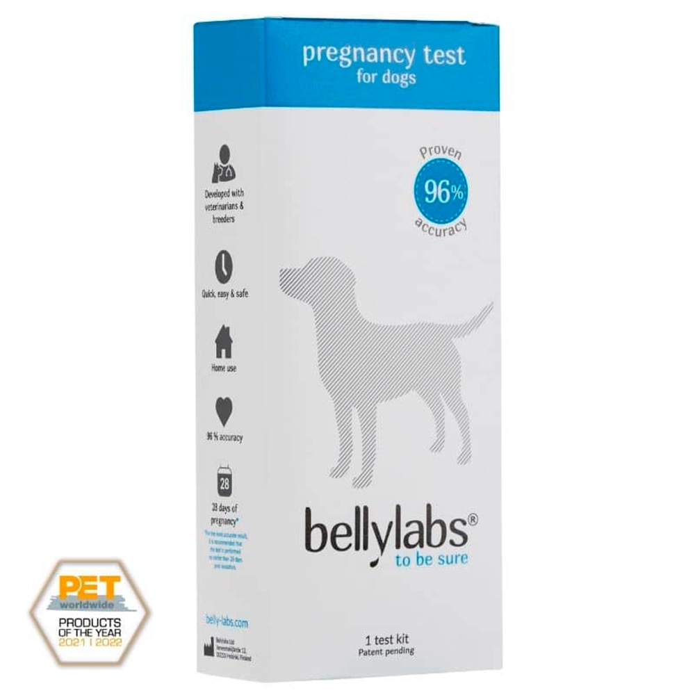 ryste At øge markedsføring Bellylabs Graviditets Test Til Hund