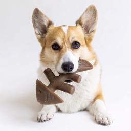 Benebone Fishbone Nylon Tyggeben PUPPY 2-Pack Jack Salmon