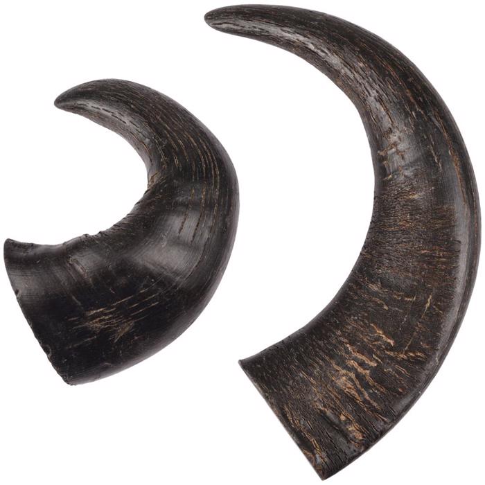 Flamingo Buffalo Horn Fuld Længde Ægte Bøffelhorn 2 stk Medium