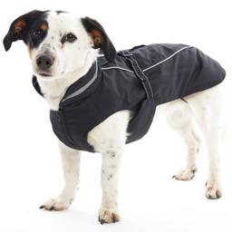 Buster Softshell Hundejakke Black Pepper