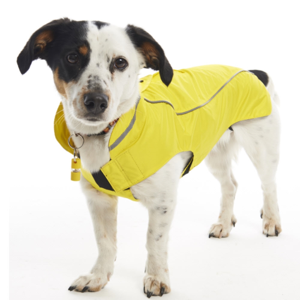 Montgomery gået i stykker Sygeplejeskole Hundetøj Buster Outdoor Regnjakke Lemon