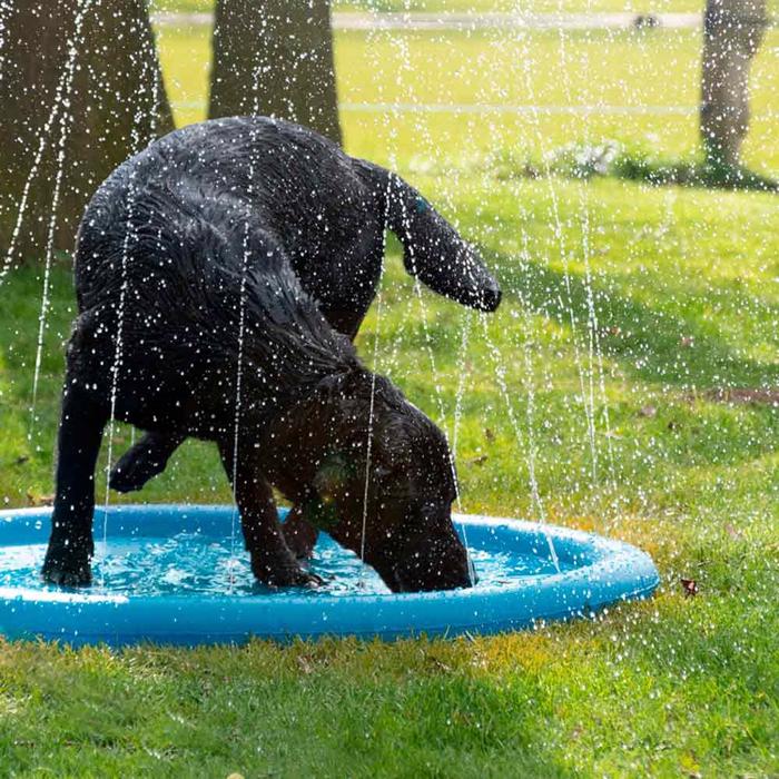CoolPets Water Sprinkler Måtte Splash Pool til Hunden