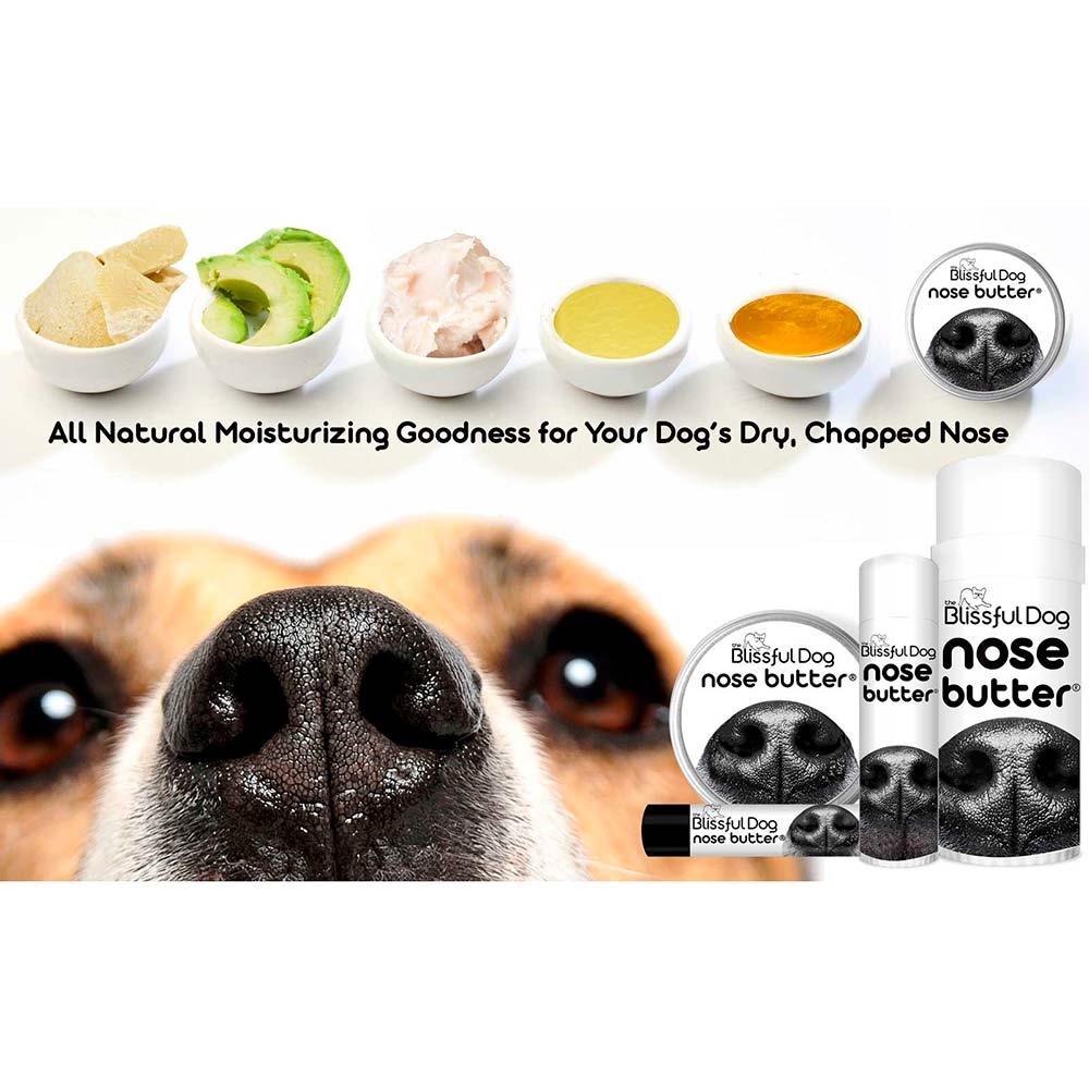 Supersonic hastighed afrikansk vant The Blissful Dog Nose Butter STICK Creme Til Hundens Næse