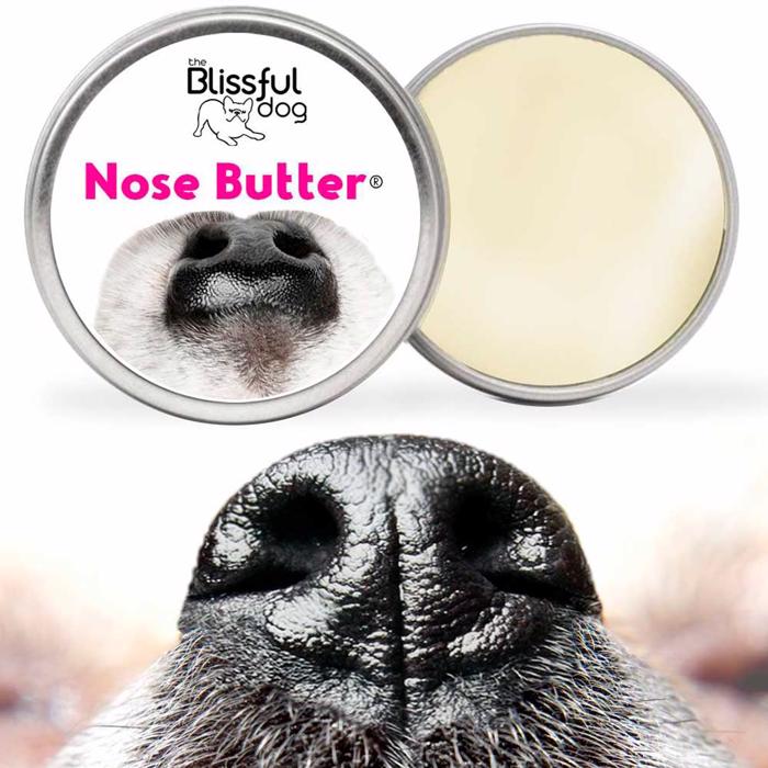 The Blissful Dog Nose Butter DÅSE Creme Til Hundens Næse