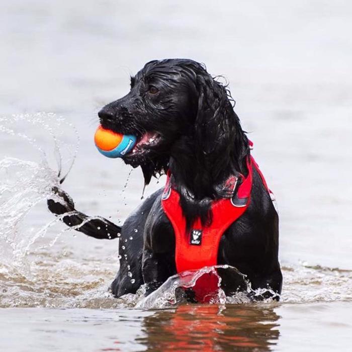 Chuckit Amphibious Fetch Balls 3 Stk En Ægte Flydebold