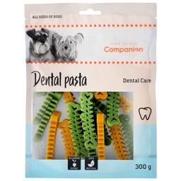 Companion Dental Pasta Dental Care 300g - DATOVARER