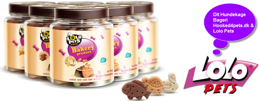 Марк мерденович лоло. Com. Lolo надпись. Сайт для работы lolo. Сайт для работы lolo.